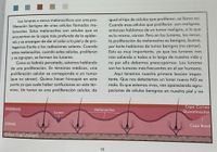 02D1F9A4-239A-454F-97DD-D7FDFF66B5C5